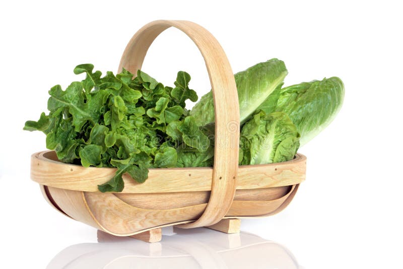 Various types of lettuce in a rustic wooden basket, over white background with reflection. Various types of lettuce in a rustic wooden basket, over white background with reflection.