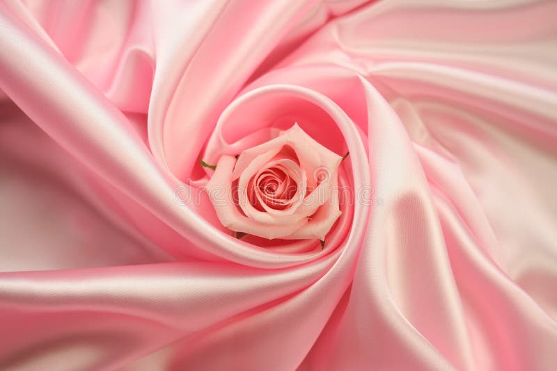 A detail of a pink rose lying in a whirl of pink satin fabic. A detail of a pink rose lying in a whirl of pink satin fabic.