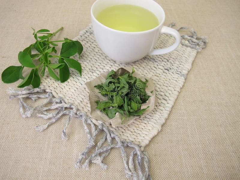 紫花苜蓿干叶茶 库存图片