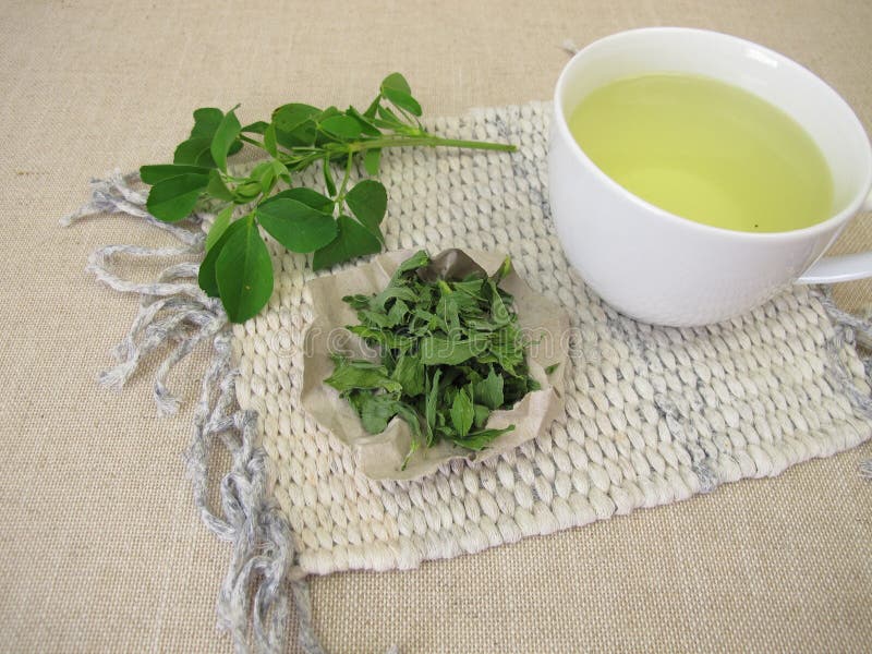 紫花苜蓿干叶茶 免版税库存照片