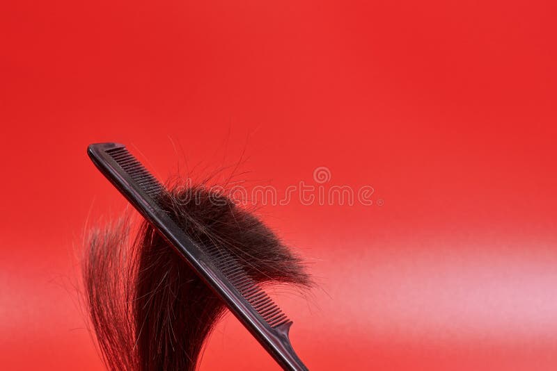 Fluffy hair in a comb on a red background. Unruly brown hair escapes from the curl when combed. Hair loss from a curl close up 2. Fluffy hair in a comb on a red background. Unruly brown hair escapes from the curl when combed. Hair loss from a curl close up 2