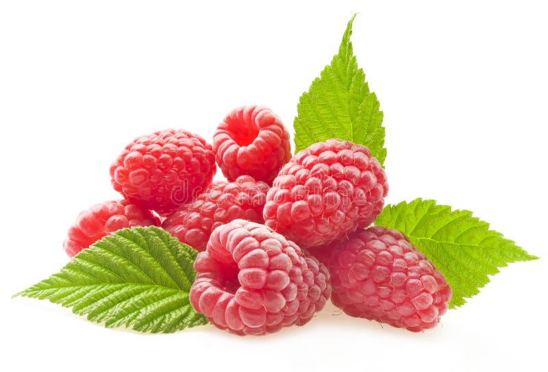 Red berry raspberry isolated on white background. Red berry raspberry isolated on white background