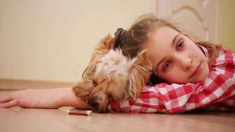 约克郡猎犬把头放在女孩手上 股票视频