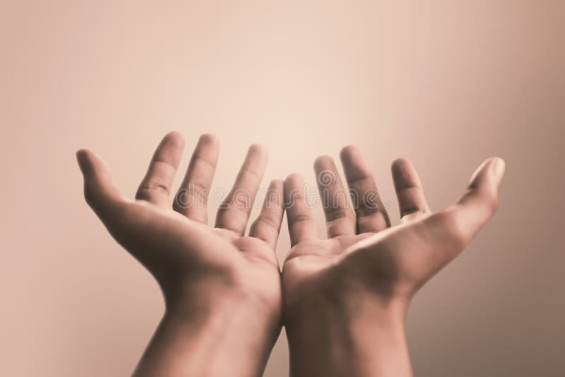 细å°çš„蓟花蕾和æˆç†Ÿçš„å°–åˆºå—æ˜Žäº®çš„太阳光照射,软模糊的作用。细å°çš„蓟花蕾和æˆç†Ÿçš„å°–åˆºå—æ˜Žä 库存图片 细å°çš„蓟花蕾和æˆç†Ÿçš„å°–åˆºå—æ˜Žäº®çš„太阳光照射,软模糊的作用。细å°çš„蓟花蕾和æˆç†Ÿçš„å°–åˆºå—æ˜Žä 库存图片