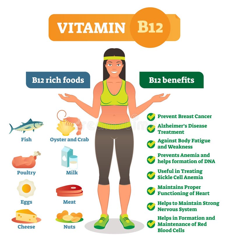 维生素B12富有的食物象和保健福利列出,健康生活方式情报海报 与健康女性的传染媒介例证 皇族释放例证 维生素B12富有的食物象和保健福利列出,健康生活方式情报海报 与健康女性的传染媒介例证 皇族释放例证