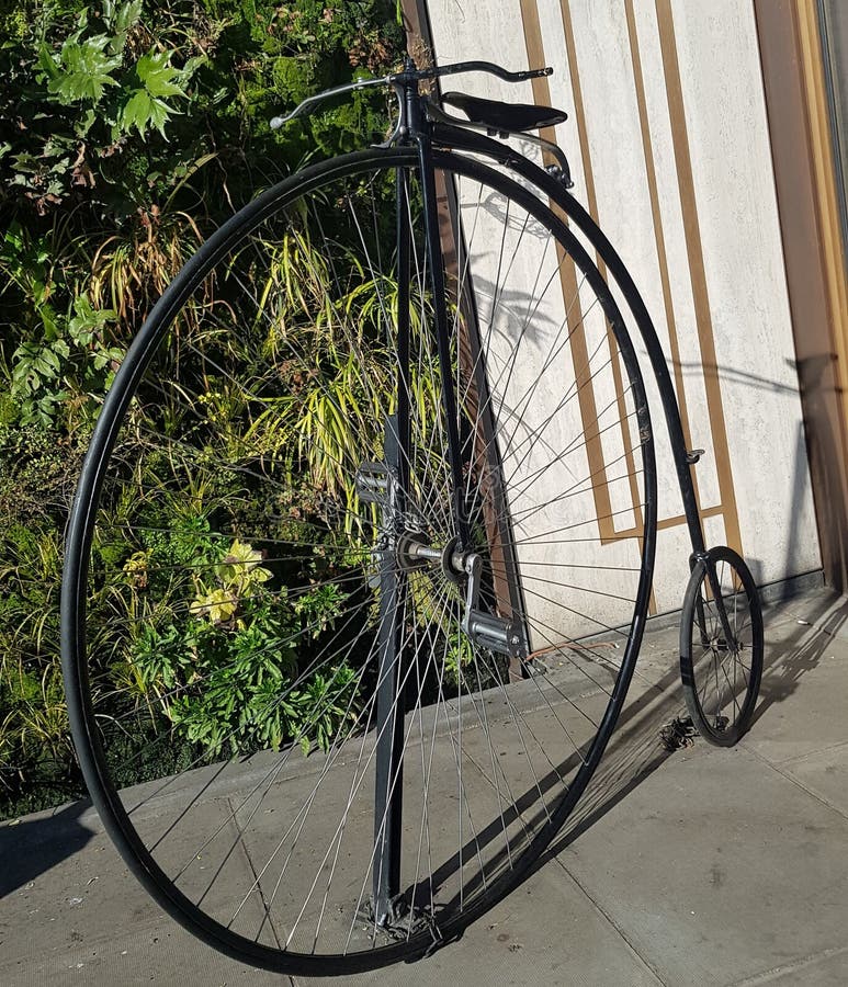 绿色公园自行车 库存照片 绿色公园自行车 库存照片