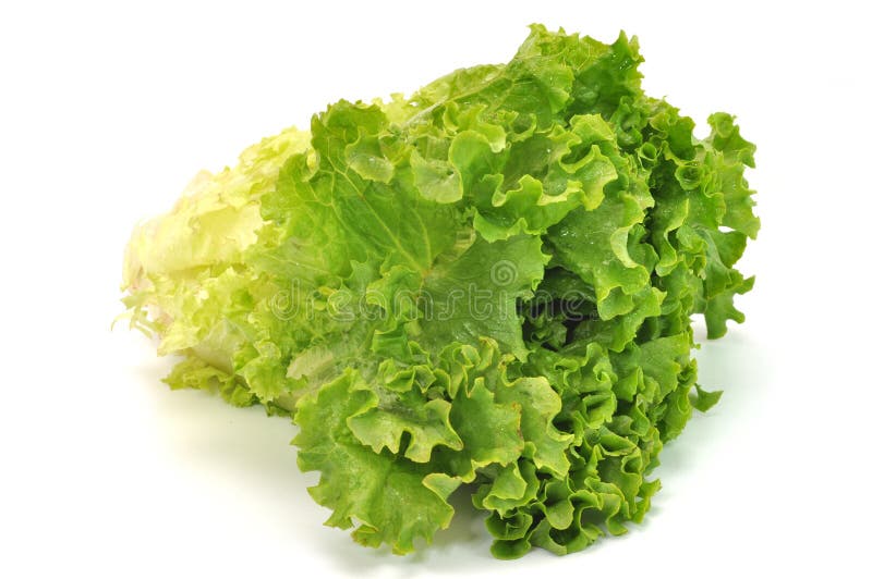 Green leafy lettuce isolated on white background. Green leafy lettuce isolated on white background.