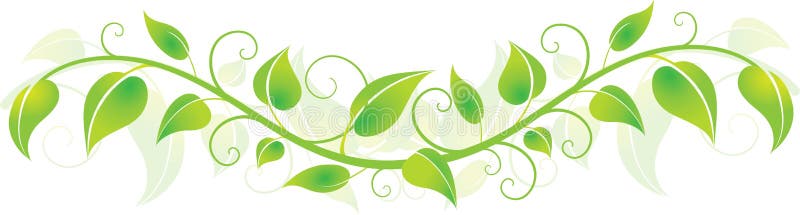 Green horizontal border of leaves and vines. Green horizontal border of leaves and vines