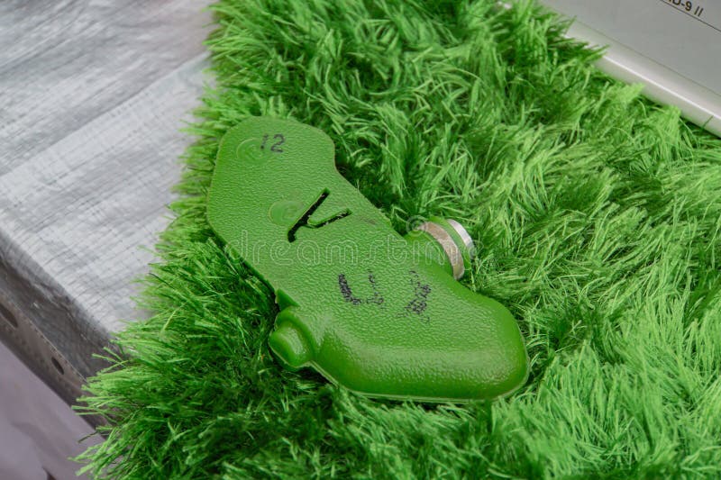 绿色鞋的形象，以蛙类的图形设计为特色，可能还有“Croak潜能”这个词 免版税库存图片
