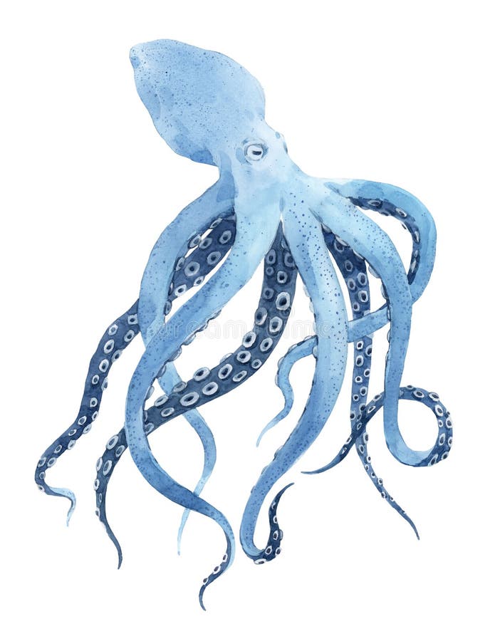 Beautiful underwater watercolor hand drawn octopus stock illustration. Beautiful underwater watercolor hand drawn octopus stock illustration.