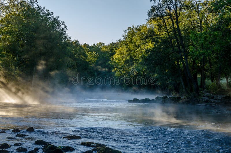 美丽的风景，树木、水、晨光和雾 库存照片