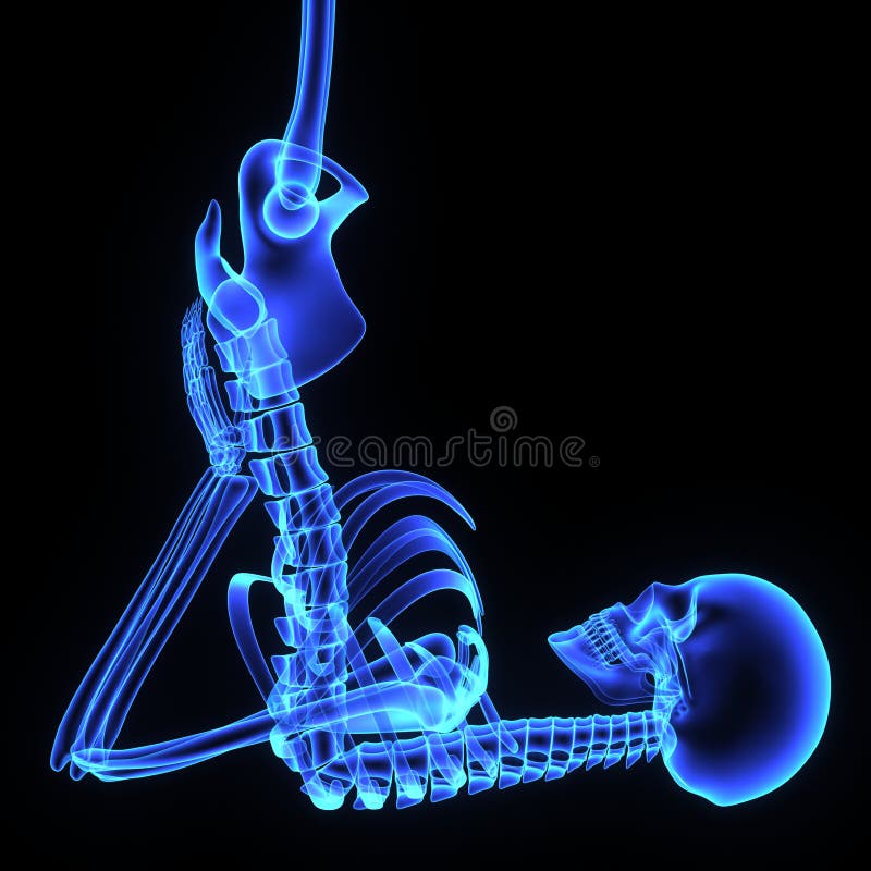 A joint or articulation (or articular surface) is the location at which bones connect.[1][2] They are constructed to allow movement (except for skull, sacral, sternal, and pelvic bones) and provide mechanical support, and are classified structurally and functionally. A joint or articulation (or articular surface) is the location at which bones connect.[1][2] They are constructed to allow movement (except for skull, sacral, sternal, and pelvic bones) and provide mechanical support, and are classified structurally and functionally.