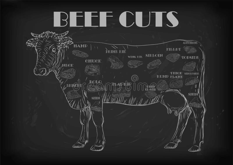 Beef cow bull whole carcass cuts cut parts infographics scheme sign signboard poster butchers guide: neck chunk, brisket fillet rump. Vector beautiful horizontal closeup white outline black background. Beef cow bull whole carcass cuts cut parts infographics scheme sign signboard poster butchers guide: neck chunk, brisket fillet rump. Vector beautiful horizontal closeup white outline black background