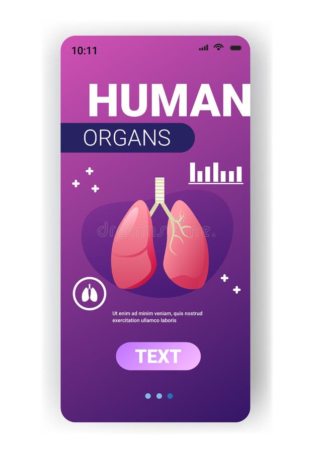 肺结构人体内脏解剖生物学保健医学概念呼吸系统智能手机 库存例证 肺结构人体内脏解剖生物学保健医学概念呼吸系统智能手机 库存例证