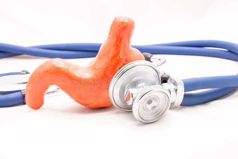胃和听诊器一起躺在白色背景上. 显示了这个器官在医学上是如何研究的. 在医学中使用的照片 免版税库存图片