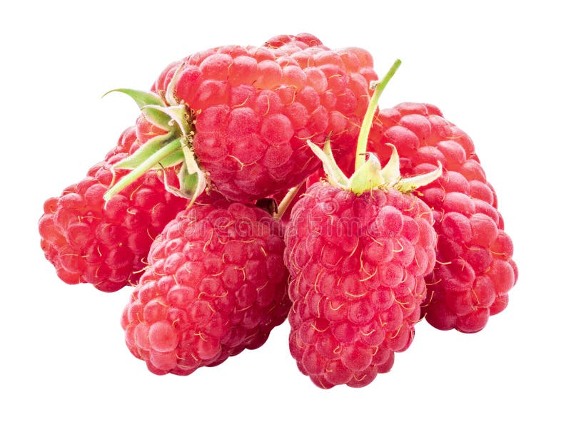 Fresh raspberry isolated on white background. Fresh raspberry isolated on white background