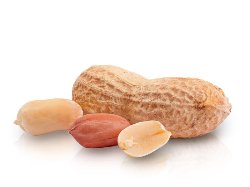 背景空白查出的花生 库存图片