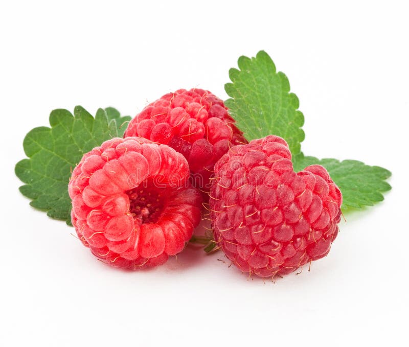 Fresh raspberry on a white background with leaves. Fresh raspberry on a white background with leaves