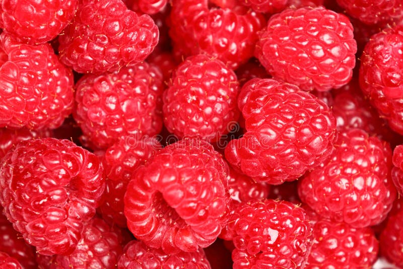 Raspberries - raspberry texture background of fresh red ripe berries. Close up image with great texture and detail. Raspberries - raspberry texture background of fresh red ripe berries. Close up image with great texture and detail.