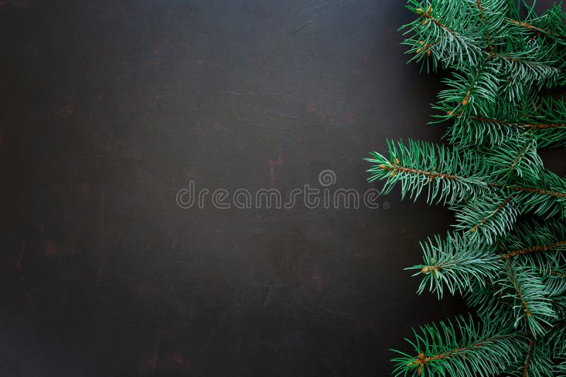 背景边界把空白圣诞节礼品金黄查出的丝带装箱 在黑暗的木背景的杉树分支 免版税库存照片