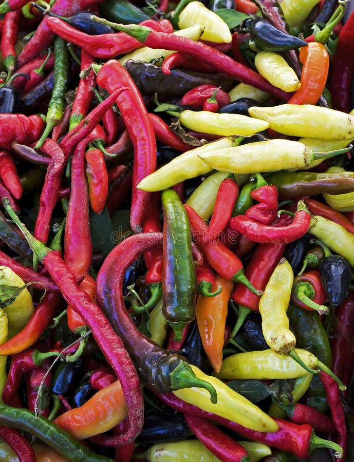 Chili peppers piled on a table at the Dubuque Iowa farmers market. Chili peppers piled on a table at the Dubuque Iowa farmers market