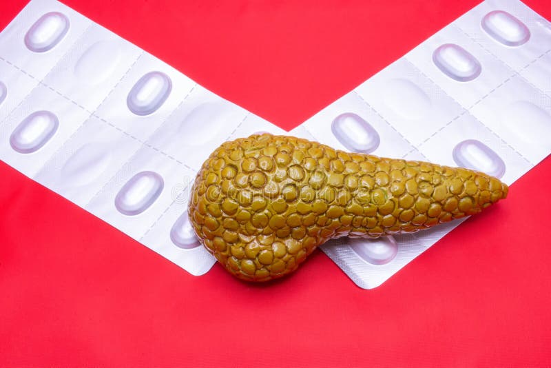 胰腺丸及治疗概念照片. 胰腺的解剖模型位于两个带有平板顶视图的水泡上. 概念 免版税库存图片
