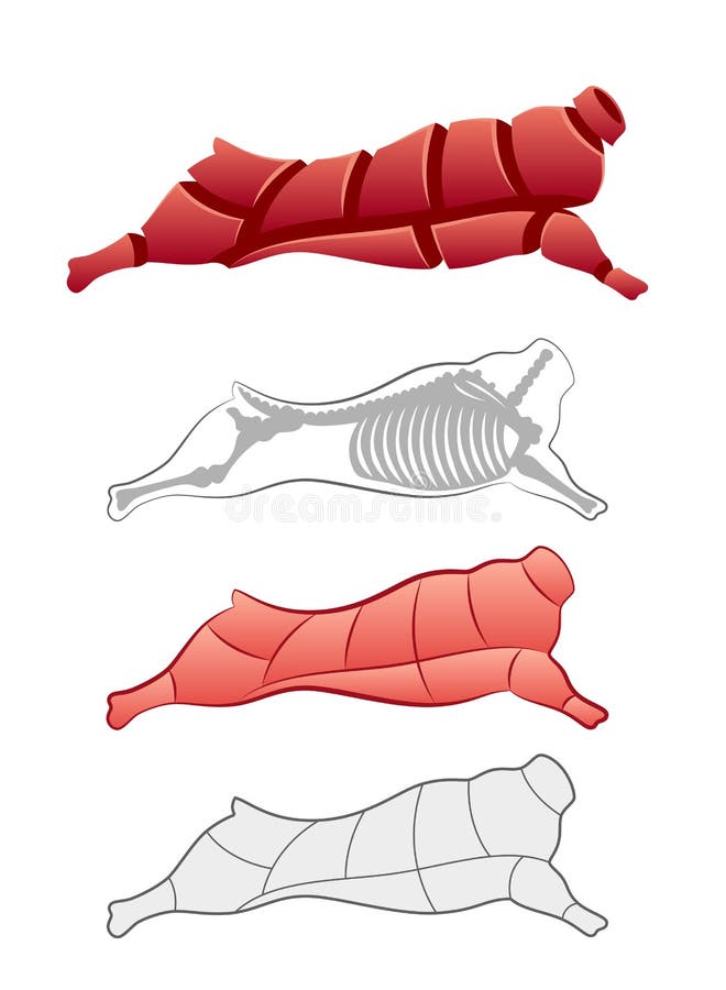 Carcass and animal skeleton on a white background. Carcass and animal skeleton on a white background