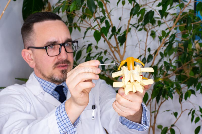 脊髓感觉或运动神经根或神经节的解剖位置。医生、教师或科学家演示 免版税库存图片