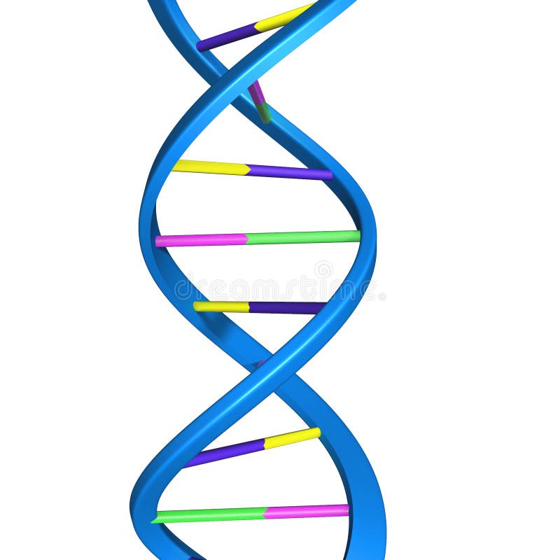 Deoxyribonucleic acid (DNA) is a molecule that encodes the genetic instructions used in the development and functioning of all known living organisms and many viruses. DNA is a nucleic acid; alongside proteins and carbohydrates, nucleic acids compose the three major macromolecules essential for all known forms of life. Deoxyribonucleic acid (DNA) is a molecule that encodes the genetic instructions used in the development and functioning of all known living organisms and many viruses. DNA is a nucleic acid; alongside proteins and carbohydrates, nucleic acids compose the three major macromolecules essential for all known forms of life.