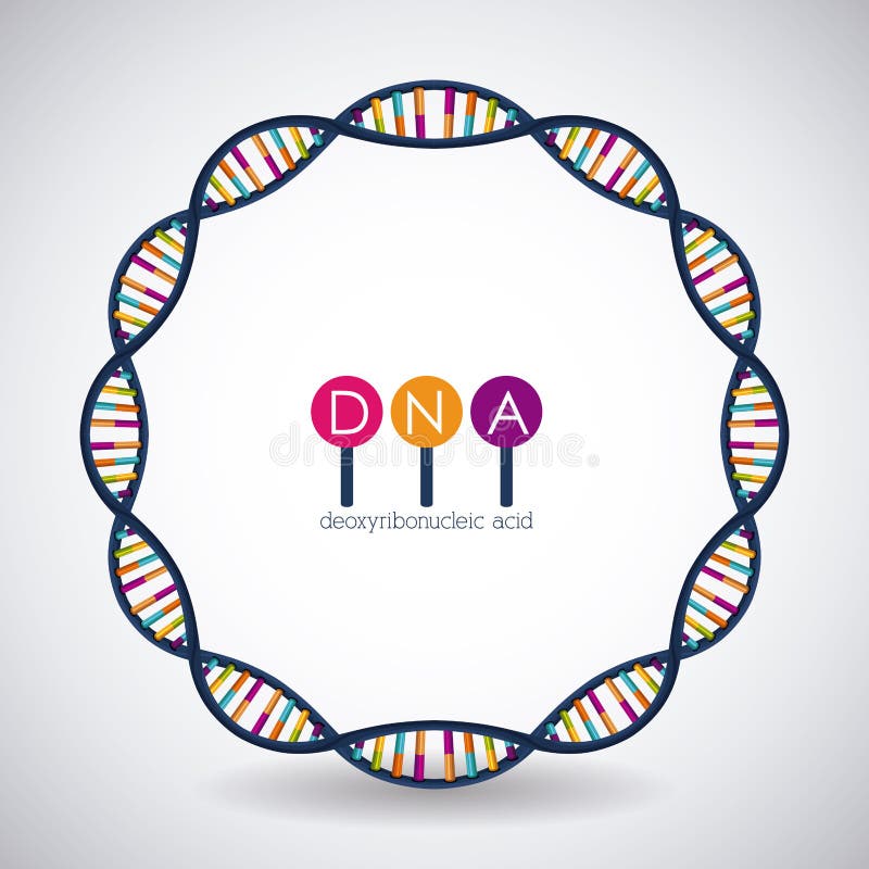 Dna circle structure chromosome icon. Science molecule genetic and biology theme. Isolated design. Vector illustration. Dna circle structure chromosome icon. Science molecule genetic and biology theme. Isolated design. Vector illustration