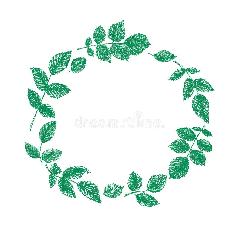 色彩缤纷的布景以è‰è¯å’Œå½©ç»˜çš„èŠ±æœµä¸ºç‰¹è‰²ã€‚è‰²å½©ç¼¤çº·çš„è‰æœ¨å’Œé²œèŠ±ã€‚ç§‹å¤æƒ…绪。薄è·ï¼Œå°éº¦ï¼Œé…¸æ 向量例证