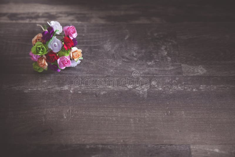 彩色鲜花 图库摄影