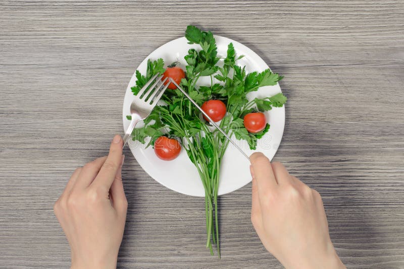 节食的减重减肥健康吃素食主义者素食人人概念 概念健康营养 妇女` s递c 图库摄影 节食的减重减肥健康吃素食主义者素食人人概念 概念健康营养 妇女` s递c 图库摄影