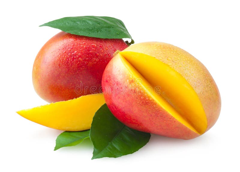 芒果 免版税库存图片