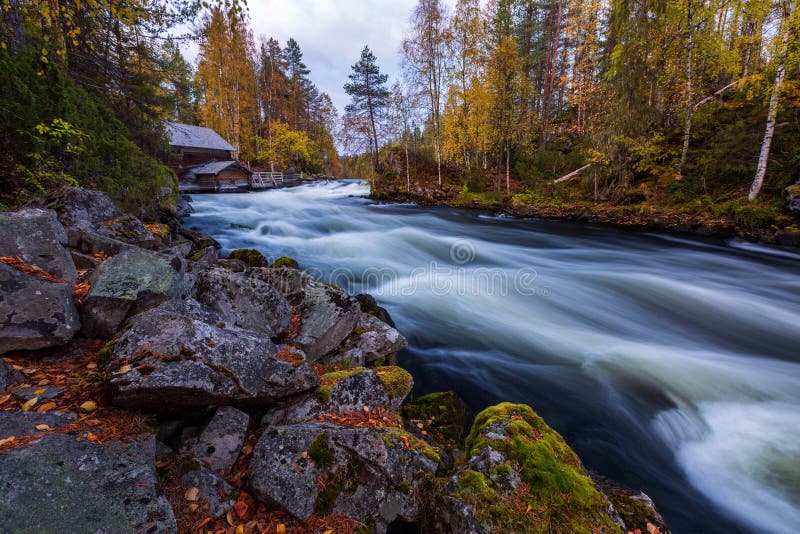 The river with rapids in the beautiful autumn forest in Oulanka National park, Finland, Kuusamo. The river with rapids in the beautiful autumn forest in Oulanka National park, Finland, Kuusamo