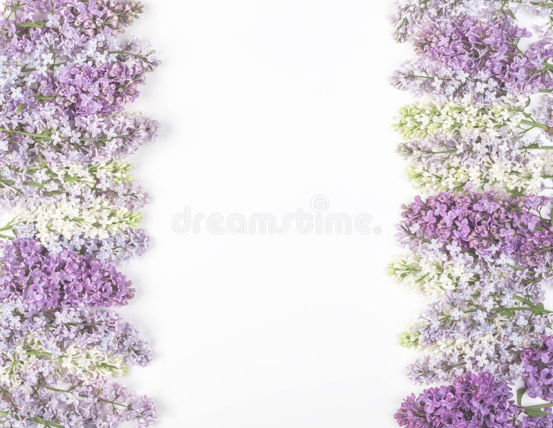 Floral frame made of spring lilac flowers isolated on white background. Top view with copy space. Flat lay. Floral frame made of spring lilac flowers isolated on white background. Top view with copy space. Flat lay.