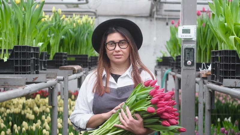 花卉温室 栽培植物 郁金香女园丁