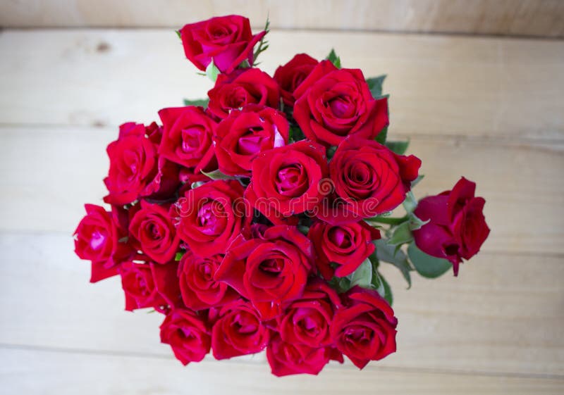 花园中美丽的玫瑰花 玫瑰花背景 玫瑰花纹 美丽玫瑰 热带花园玫瑰 彩色 库存照片 花园中美丽的玫瑰花 玫瑰花背景 玫瑰花纹 美丽玫瑰 热带花园玫瑰 彩色 库存照片