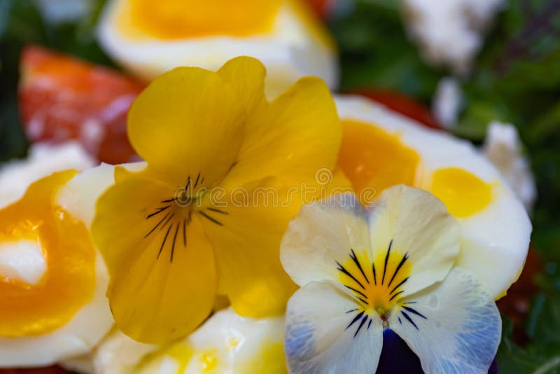 花菜色拉特写 免版税图库摄影
