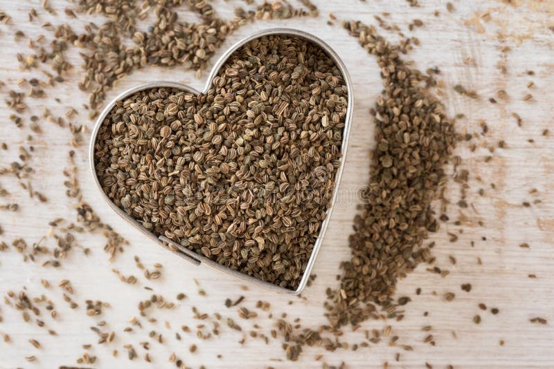 Top view of celery seeds in heart shape . Top view of celery seeds in heart shape