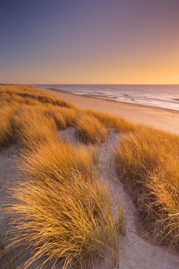 荷兰德塞尔岛日落时的沙丘和海滩