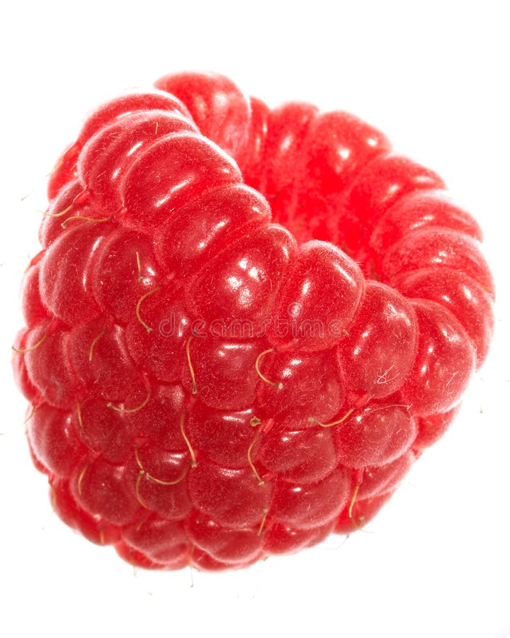 Raspberry. Isolated over white background. Raspberry. Isolated over white background