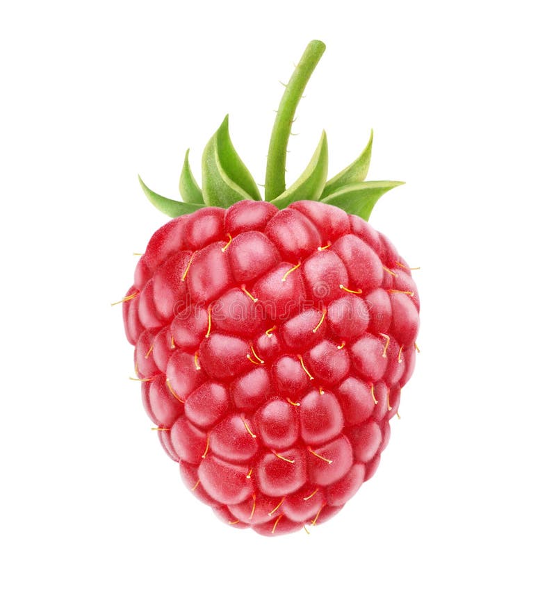 Raspberry isolated on white background. Raspberry isolated on white background