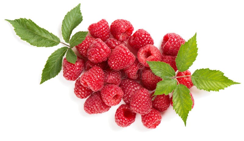 Fresh organic fruit - top view of raspberry with green leaves isolated on white background. Fresh organic fruit - top view of raspberry with green leaves isolated on white background.