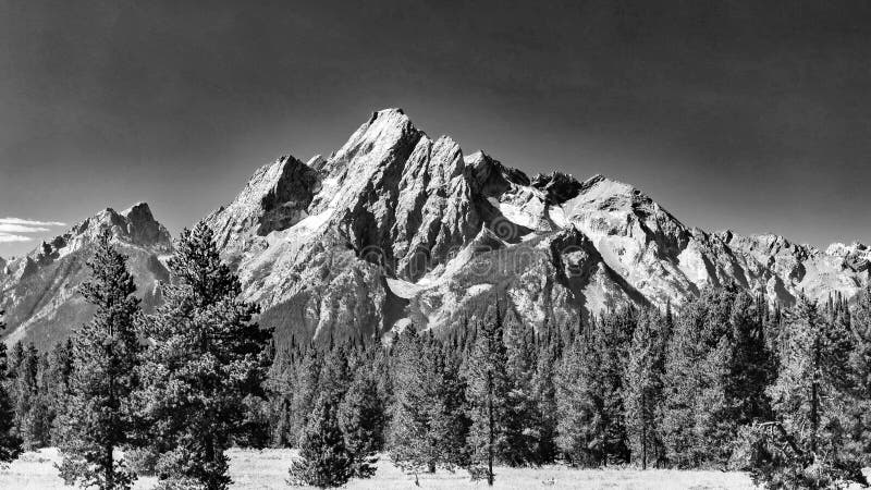 Majestic Mount Moran with its jagged peaks and small glaciers on a clear September day with a deep haze on the horizon from unchecked Canadian Forest Fires. The slopes are covered in alpine fir and subalpine fir trees up to the harsh environment of the tree line above which only rocks occur. While the flats below and across Jackson Lake are covered in grasses and timber of Lodgepole pine and spruce varieties. Majestic Mount Moran with its jagged peaks and small glaciers on a clear September day with a deep haze on the horizon from unchecked Canadian Forest Fires. The slopes are covered in alpine fir and subalpine fir trees up to the harsh environment of the tree line above which only rocks occur. While the flats below and across Jackson Lake are covered in grasses and timber of Lodgepole pine and spruce varieties.