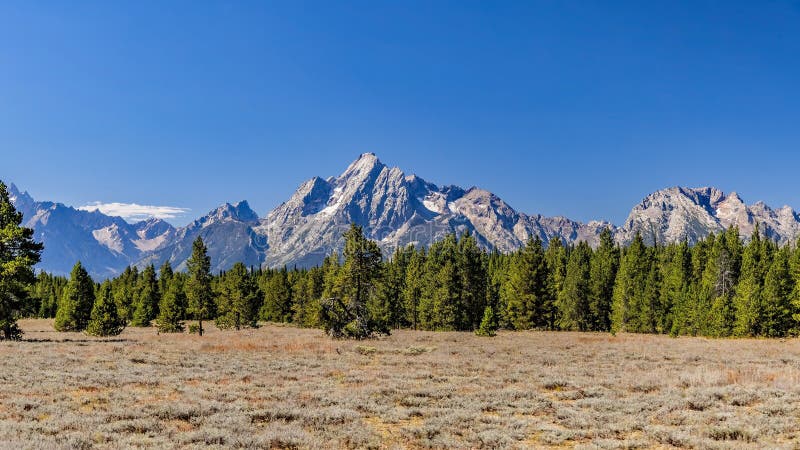 Majestic Mount Moran with its jagged peaks and small glaciers on a clear September day with a deep haze on the horizon from unchecked Canadian Forest Fires. The distinctive dark vein of igneous rock marks a period of volcanic activity from a long time ago. The slopes are covered in alpine fir and subalpine fir trees up to the harsh environment of the tree line above which only rocks occur. While the flats below and across Jackson Lake are covered in grasses and timber of Lodgepole pine and spruce varieties. Majestic Mount Moran with its jagged peaks and small glaciers on a clear September day with a deep haze on the horizon from unchecked Canadian Forest Fires. The distinctive dark vein of igneous rock marks a period of volcanic activity from a long time ago. The slopes are covered in alpine fir and subalpine fir trees up to the harsh environment of the tree line above which only rocks occur. While the flats below and across Jackson Lake are covered in grasses and timber of Lodgepole pine and spruce varieties.