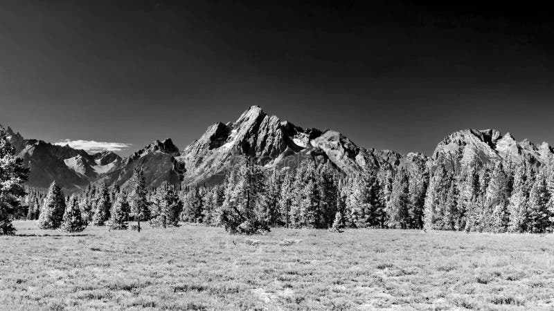 Majestic Mount Moran with its jagged peaks and small glaciers on a clear September day with a deep haze on the horizon from unchecked Canadian Forest Fires. The distinctive dark vein of igneous rock marks a period of volcanic activity from a long time ago. The slopes are covered in alpine fir and subalpine fir trees up to the harsh environment of the tree line above which only rocks occur. While the flats below and across Jackson Lake are covered in grasses and timber of Lodgepole pine and spruce varieties. Majestic Mount Moran with its jagged peaks and small glaciers on a clear September day with a deep haze on the horizon from unchecked Canadian Forest Fires. The distinctive dark vein of igneous rock marks a period of volcanic activity from a long time ago. The slopes are covered in alpine fir and subalpine fir trees up to the harsh environment of the tree line above which only rocks occur. While the flats below and across Jackson Lake are covered in grasses and timber of Lodgepole pine and spruce varieties.