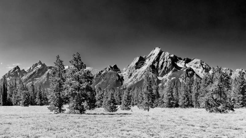 Majestic Mount Moran with its jagged peaks and small glaciers on a clear September day with a deep haze on the horizon from unchecked Canadian Forest Fires. The distinctive dark vein of igneous rock marks a period of volcanic activity from a long time ago. Grand Teton on the left looks smaller but is actually 1,000 feet higher. The slopes are covered in alpine fir and subalpine fir trees up to the harsh environment of the tree line above which only rocks occur. While the flats below and across Jackson Lake are covered in grasses and timber of Lodgepole pine and spruce varieties. Majestic Mount Moran with its jagged peaks and small glaciers on a clear September day with a deep haze on the horizon from unchecked Canadian Forest Fires. The distinctive dark vein of igneous rock marks a period of volcanic activity from a long time ago. Grand Teton on the left looks smaller but is actually 1,000 feet higher. The slopes are covered in alpine fir and subalpine fir trees up to the harsh environment of the tree line above which only rocks occur. While the flats below and across Jackson Lake are covered in grasses and timber of Lodgepole pine and spruce varieties.