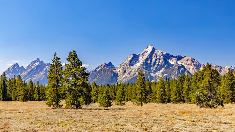 Majestic Mount Moran with its jagged peaks and small glaciers on a clear September day with a deep haze on the horizon from unchecked Canadian Forest Fires. The distinctive dark vein of igneous rock marks a period of volcanic activity from a long time ago. Grand Teton on the left looks smaller but is actually 1,000 feet higher. The slopes are covered in alpine fir and subalpine fir trees up to the harsh environment of the tree line above which only rocks occur. While the flats below and across Jackson Lake are covered in grasses and timber of Lodgepole pine and spruce varieties. Majestic Mount Moran with its jagged peaks and small glaciers on a clear September day with a deep haze on the horizon from unchecked Canadian Forest Fires. The distinctive dark vein of igneous rock marks a period of volcanic activity from a long time ago. Grand Teton on the left looks smaller but is actually 1,000 feet higher. The slopes are covered in alpine fir and subalpine fir trees up to the harsh environment of the tree line above which only rocks occur. While the flats below and across Jackson Lake are covered in grasses and timber of Lodgepole pine and spruce varieties.