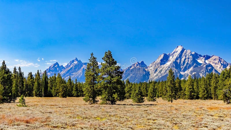 Majestic Mount Moran with its jagged peaks and small glaciers on a clear September day with a deep haze on the horizon from unchecked Canadian Forest Fires. The distinctive dark vein of igneous rock marks a period of volcanic activity from a long time ago. Grand Teton on the left looks smaller but is actually 1,000 feet higher. The slopes are covered in alpine fir and subalpine fir trees up to the harsh environment of the tree line above which only rocks occur. While the flats below and across Jackson Lake are covered in grasses and timber of Lodgepole pine and spruce varieties. Majestic Mount Moran with its jagged peaks and small glaciers on a clear September day with a deep haze on the horizon from unchecked Canadian Forest Fires. The distinctive dark vein of igneous rock marks a period of volcanic activity from a long time ago. Grand Teton on the left looks smaller but is actually 1,000 feet higher. The slopes are covered in alpine fir and subalpine fir trees up to the harsh environment of the tree line above which only rocks occur. While the flats below and across Jackson Lake are covered in grasses and timber of Lodgepole pine and spruce varieties.